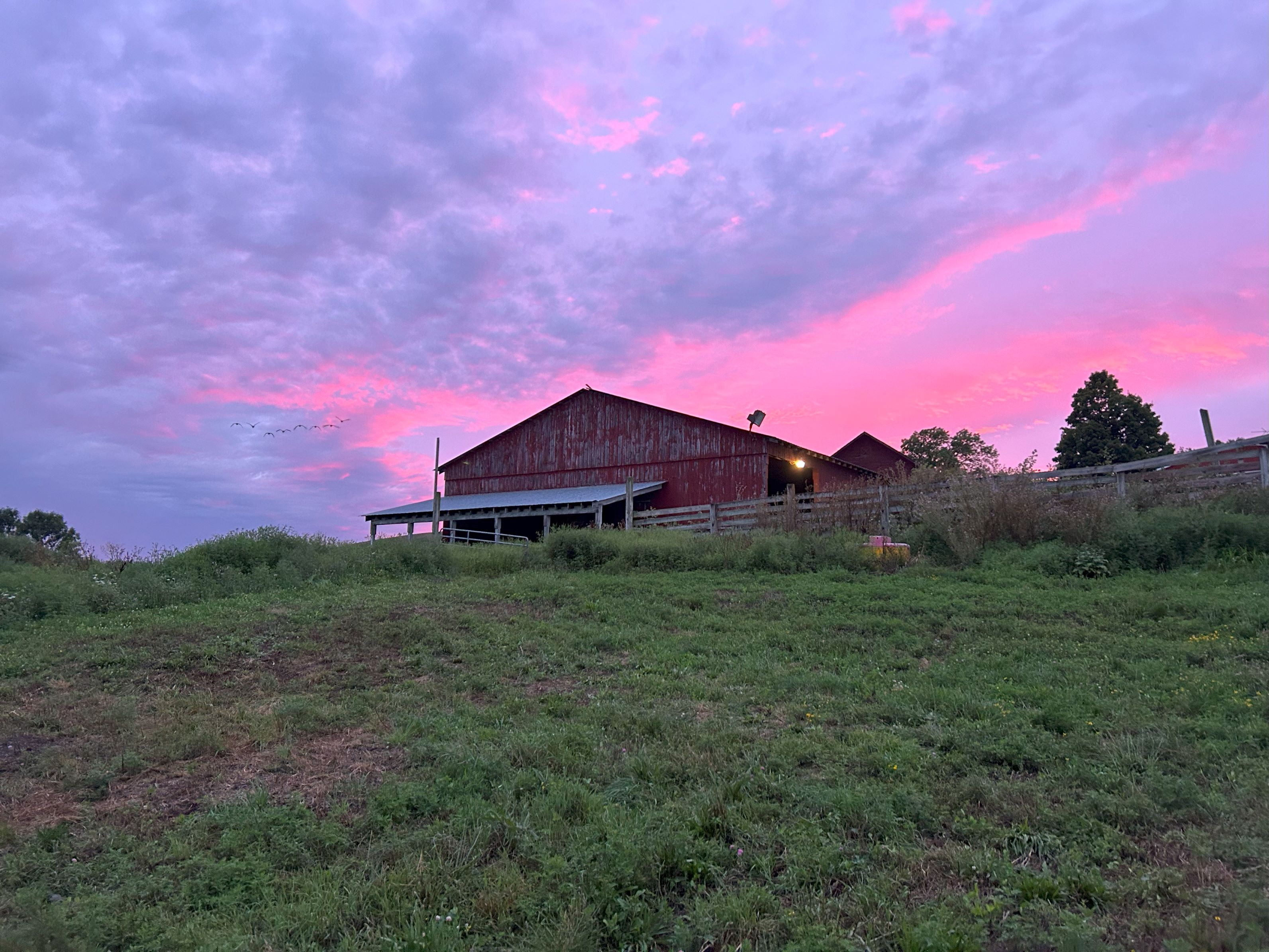Sunset - resized.jpg